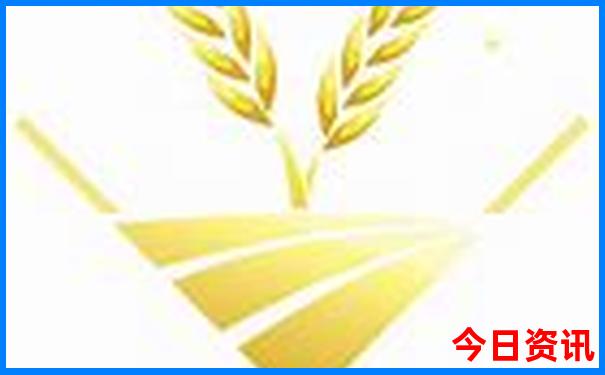 哈尔滨站附近有什么景点